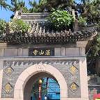 张头像
