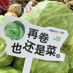 肾虚道长头像