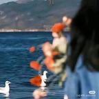 缒 沨头像