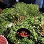 我爱吃草头像
