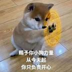 迪丽鼠头像