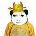专骂无脑小黑子头像