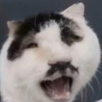 打 桩机头像