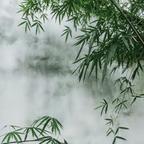 郭香君头像