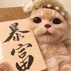 molts头像