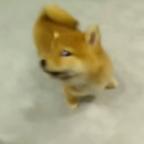 TuT头像