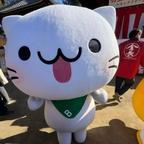 Cc头像