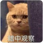 女菩萨头像