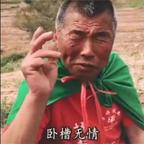 熊大爷～头像
