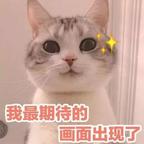 ysm看抖音头像