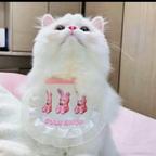 小小头像