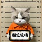 大茎十射头像