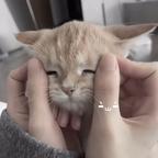 永远少年头像