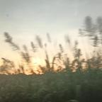 好无聊的嘞头像