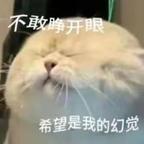 芩熙永恒头像