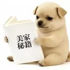 我是土狗爱看头像