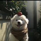 微笑是警告⚠️头像