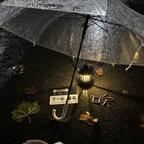 逢雪落霜降头像