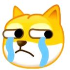   土狗呗头像