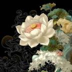 蛤蟆卧青莲头像