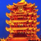 刘应阳头像