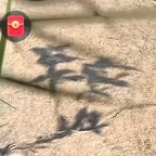 清宁⁹⁵²⁷头像