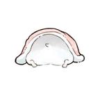 临江仙—头像