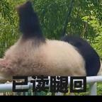 用户名7897792头像