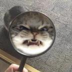 啦啦啦头像