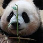 晴天娃娃zhou头像