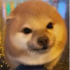 我的刀盾🐶头像