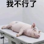 一杯冰美式头像