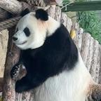 萌二头像