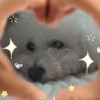 球球是个黑煤球☺️头像