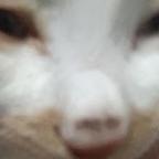 。。。头像