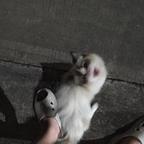 这都啥啊这头像