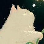 满眼星光头像