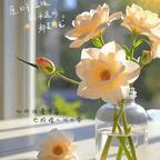 文燕头像