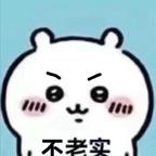 老杨不疯狂头像