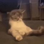 用户11857534头像