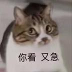 用户17838318头像
