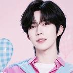 星星的星星⭐头像