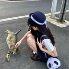 本命便是呆萌头像