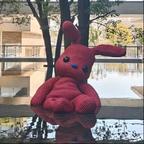 小嘿头像