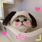 昆仑山下小鲁班头像