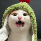 uu头像