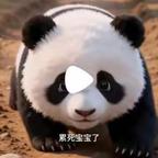 ch.盈盈（熊猫）头像