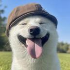 溪棠头像