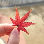 喂吃早饭头像