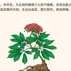 女强人战神林寒头像